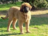 /album/fotogalerie-vrh-f/fanny-jpg1/