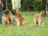 /album/fotogalerie-vrh-f/rodinka-22-jpg1/