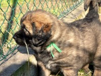 /album/fotogalerie-vrh-f/uplotu-jpg1/